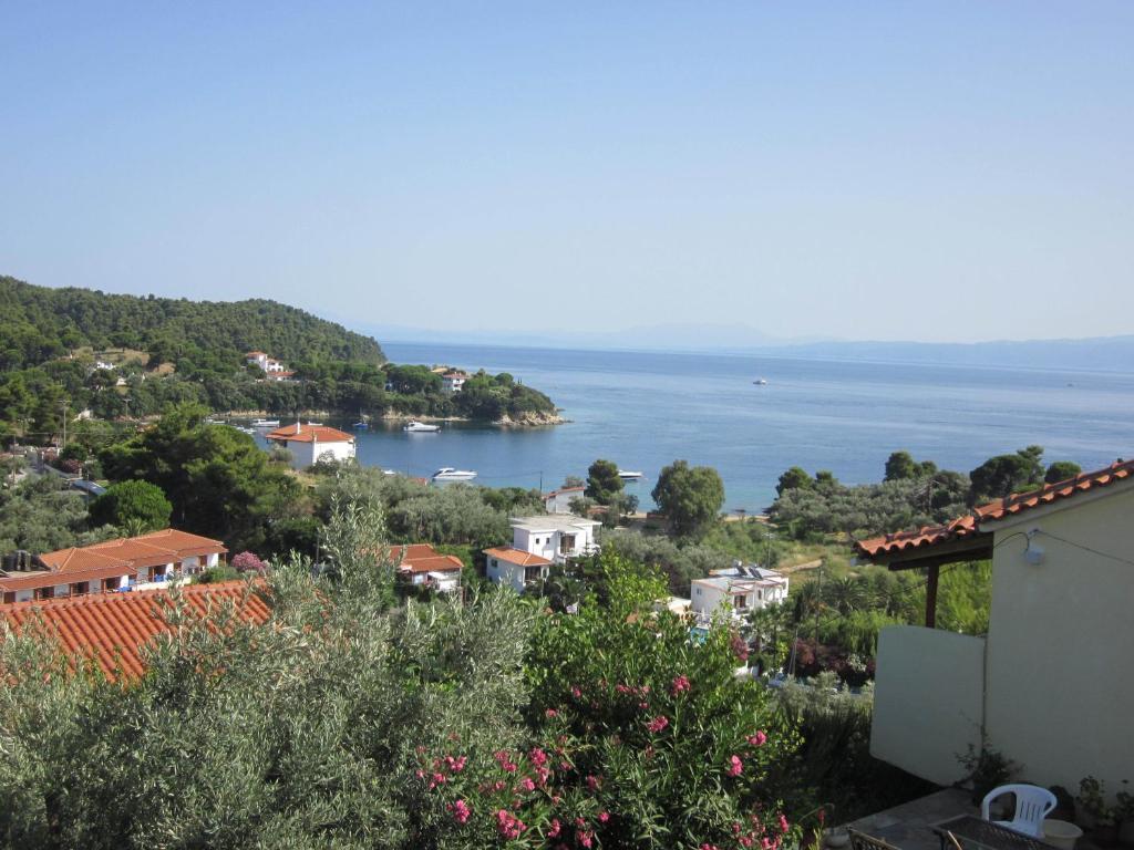 View Kolios